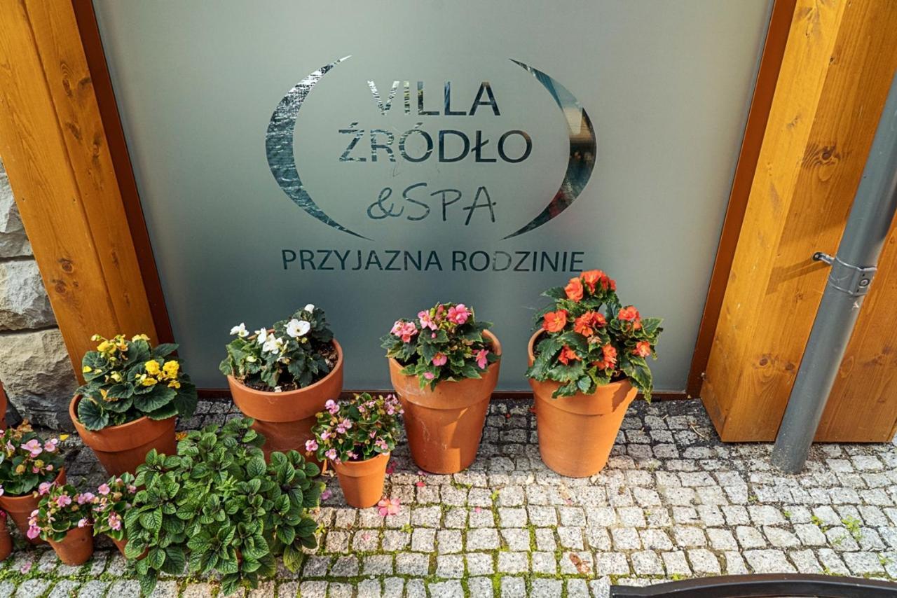 Villa Zrodlo & Spa Krynica-Zdrój Exterior foto